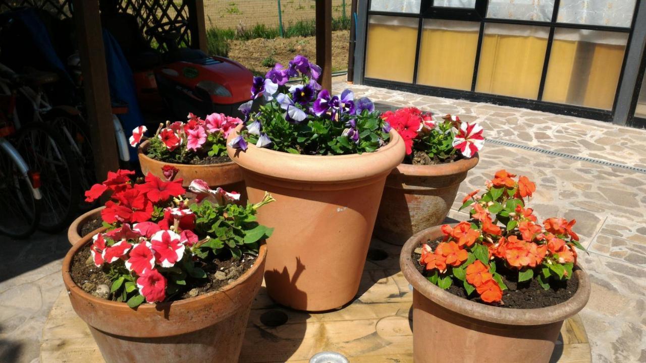 L'Oasi Di Pasqua Acomodação com café da manhã Imola Exterior foto